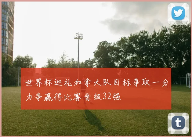 世界杯巡礼加拿大队目标争取一分力争赢得比赛晋级32强